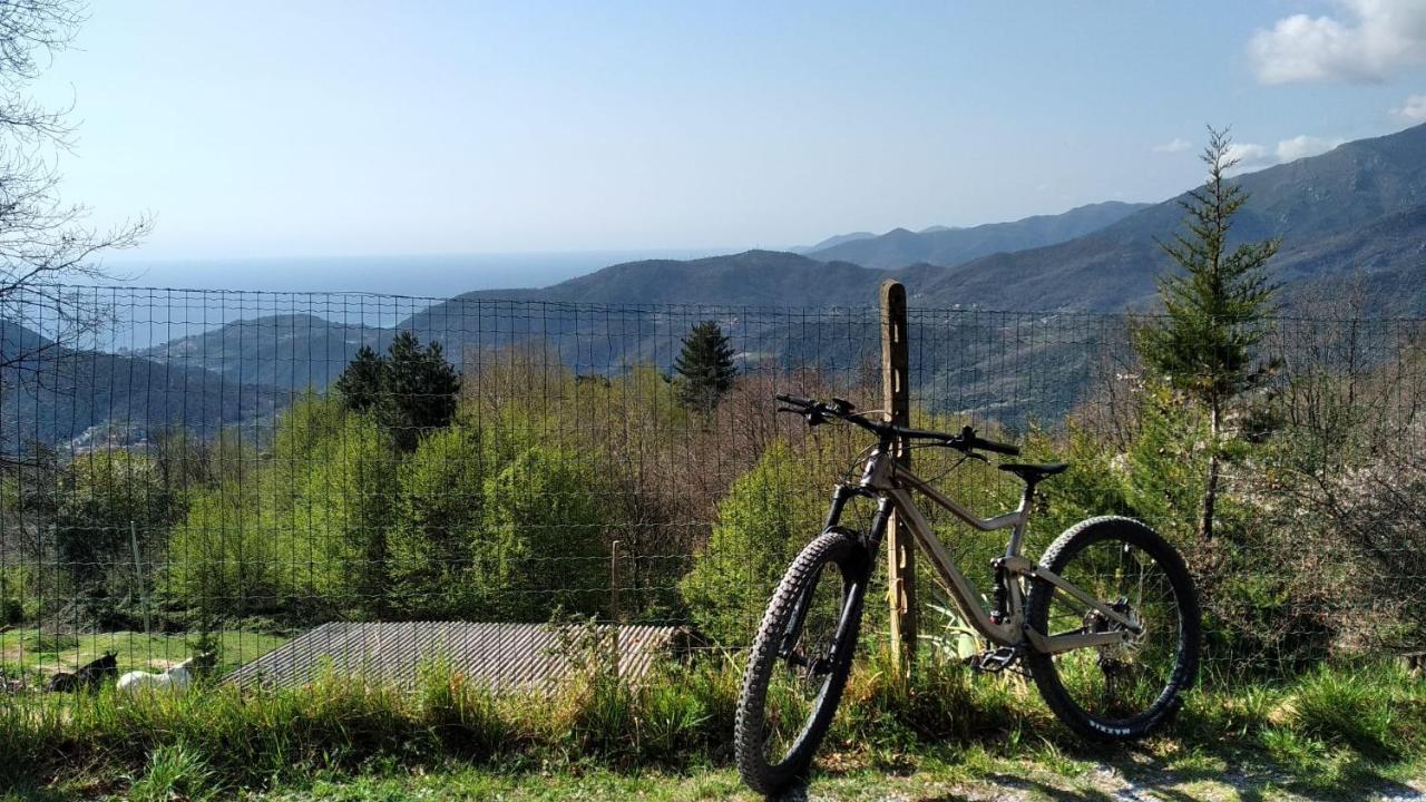 토보산지아코모 Casa Di Anna B&B 외부 사진